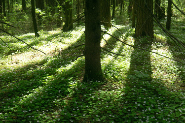 Similar image 22759118