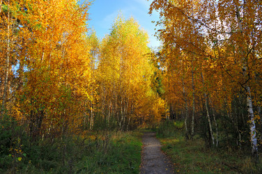 Similar image 22743483