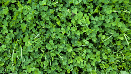 Similar image 22741938