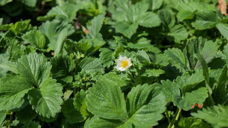 Similar image 22741942
