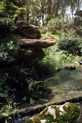 Similar image 22742429