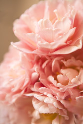 Similar image 22742438