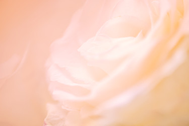 Similar image 22742442