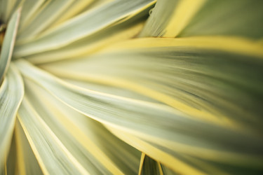 Similar image 22742460