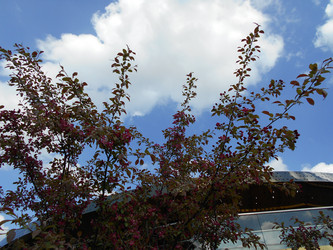 Similar image 22743494