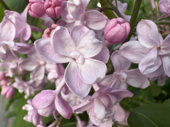Similar image 22746903