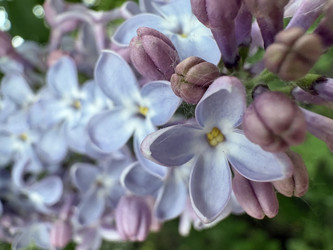 Similar image 22746904
