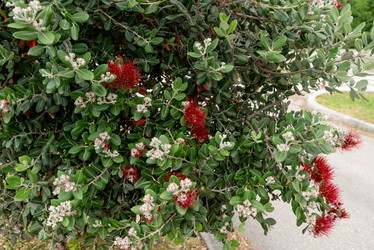 Similar image 22743074