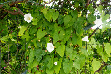 Similar image 22743075