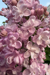Similar image 22746905