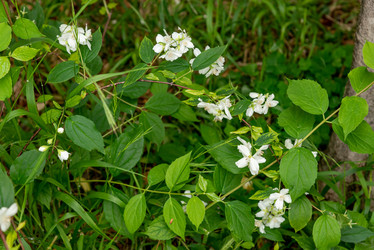 Similar image 22743077