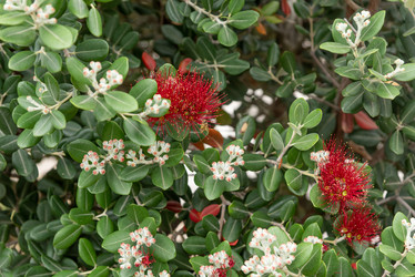 Similar image 22743078