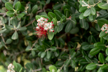 Similar image 22743080