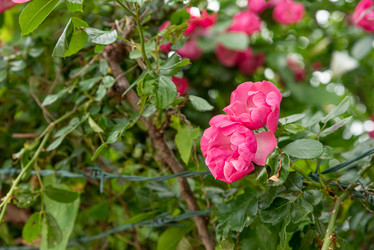 Similar image 22743093