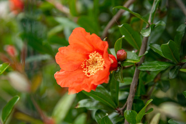 Similar image 22743094