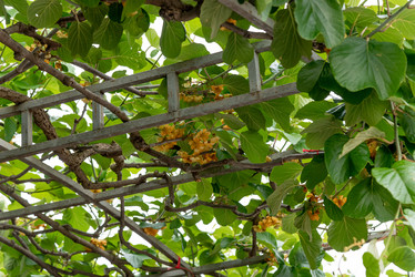 Similar image 22743108
