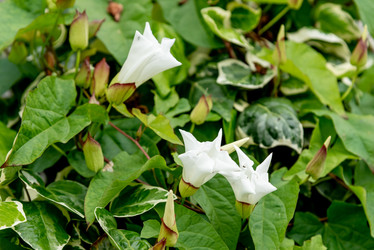 Similar image 22743109