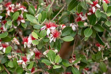 Similar image 22743123