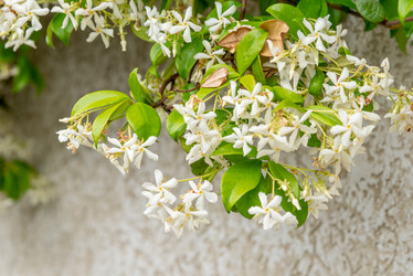 Similar image 22743124