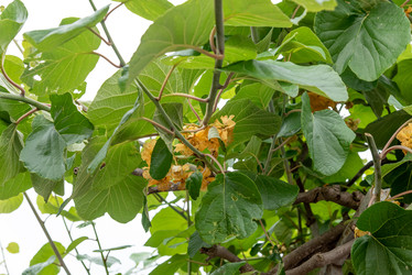 Similar image 22743137
