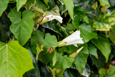 Similar image 22743139