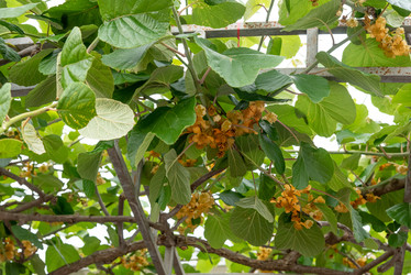 Similar image 22743151