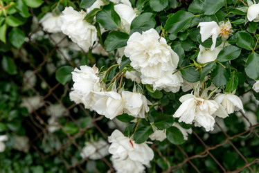 Similar image 22743152