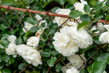 Similar image 22743164