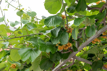 Similar image 22743169