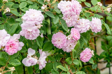 Similar image 22743170