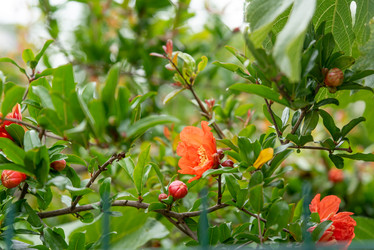 Similar image 22743184
