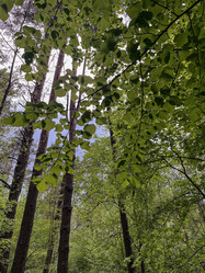 Similar image 22747622