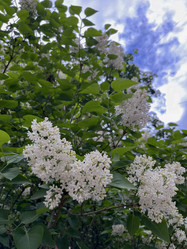 Similar image 22747623