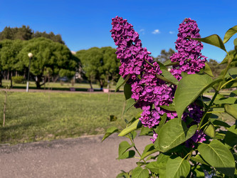 Similar image 22747628