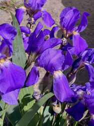 Similar image 22747631
