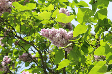 Similar image 22743519