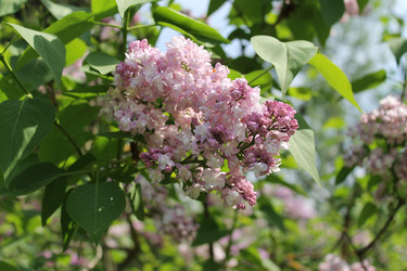 Similar image 22743520