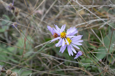 Similar image 22751848