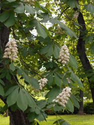 Similar image 22747003