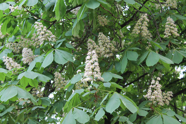 Similar image 22747026