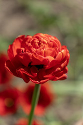 Similar image 22759161