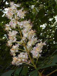 Similar image 22747027