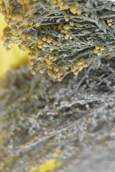 Similar image 22742946