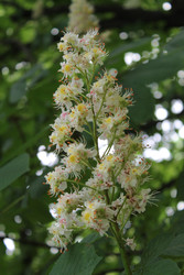 Similar image 22747028