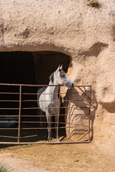 Similar image 22747251