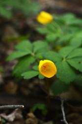 Similar image 22746529