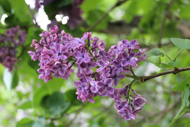 Similar image 22746994