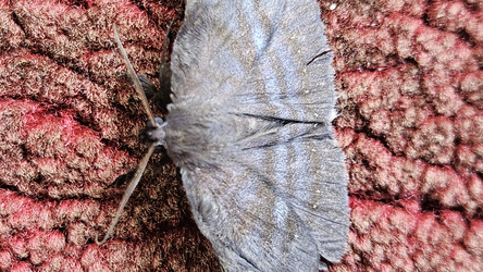 Similar image 22769686