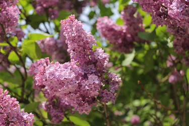 Similar image 22746996