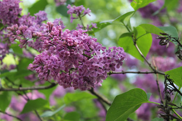 Similar image 22746997